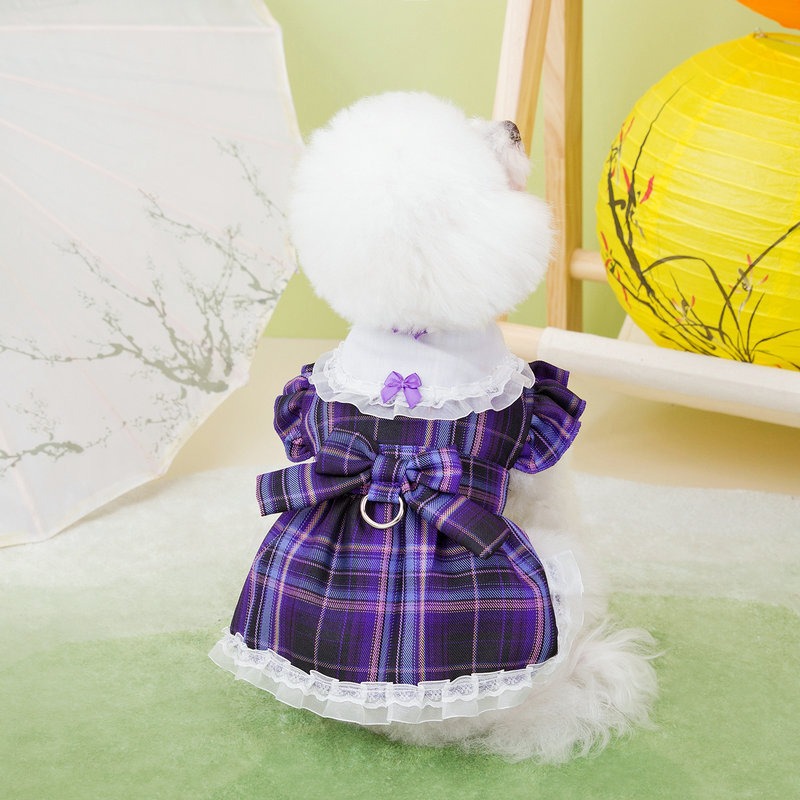 Teddy Bear Style Campus Dress with Leash Hook