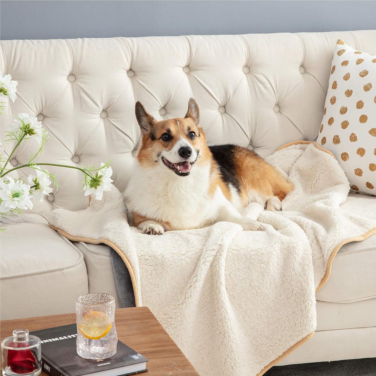 Double-Sided Plush Pet Blanket for Furniture Protection