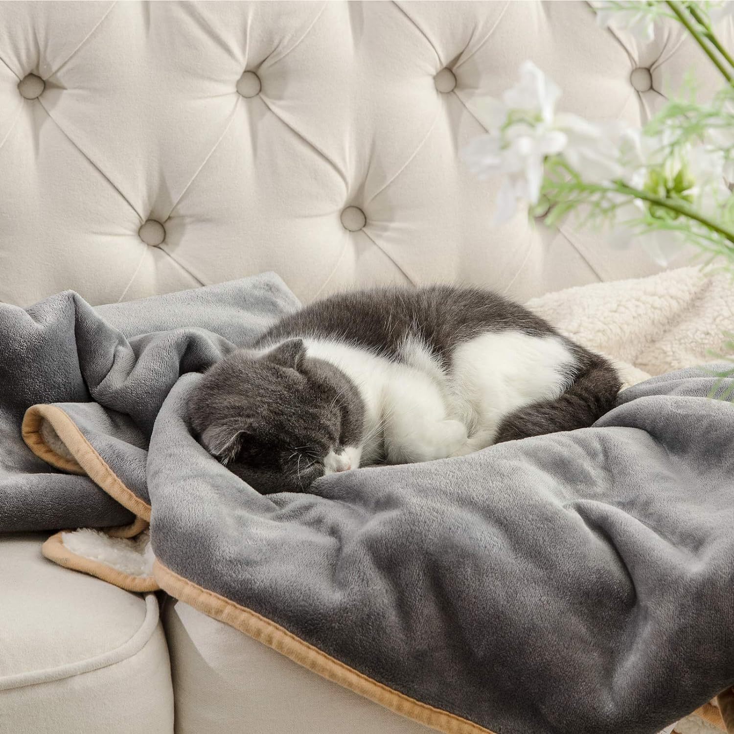 Double-Sided Plush Pet Blanket for Furniture Protection