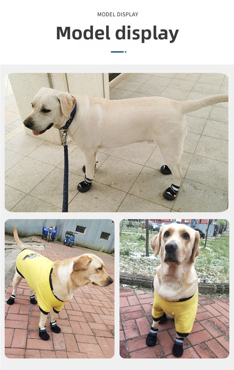 Summer Waterproof Dog Shoes with Anti-Slip