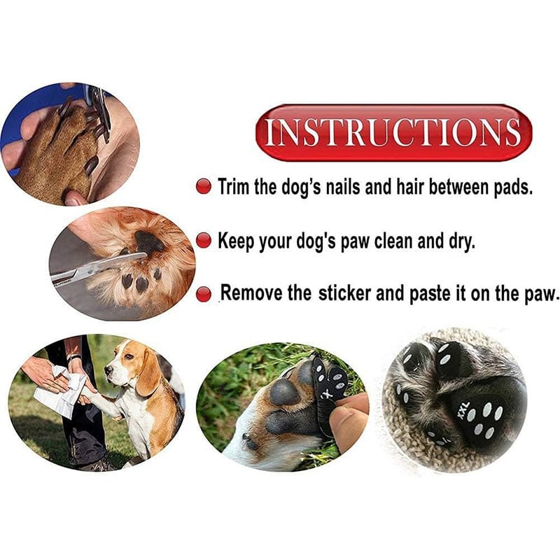 Breathable Summer Casual Pet Footwear