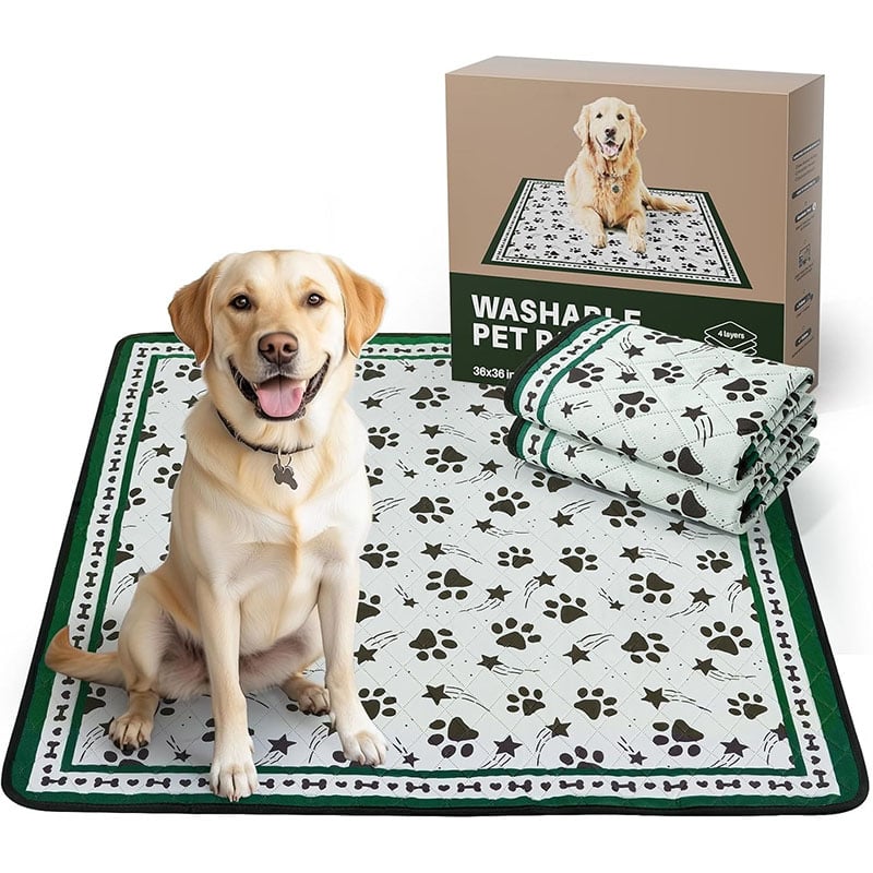 Nordic Dirt-Resistant Pet Carpet