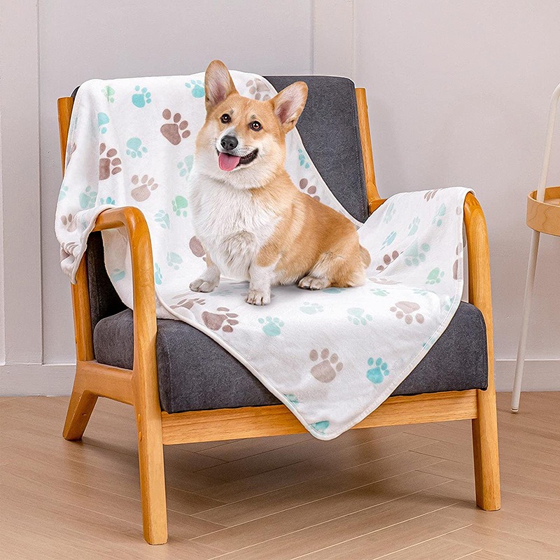 Thickened Coral Fleece Pet Blanket for Beds