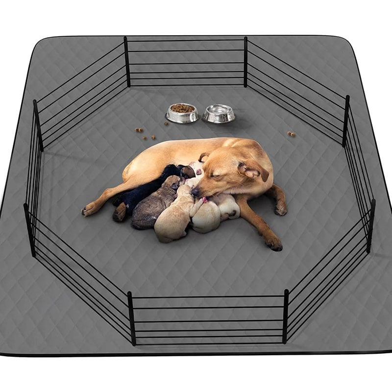 Machine Washable Pet Mat