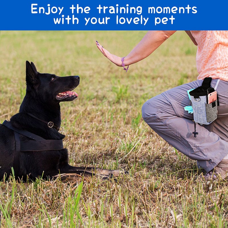 Portable Outdoor Dog Food and Snack Training Pouch
