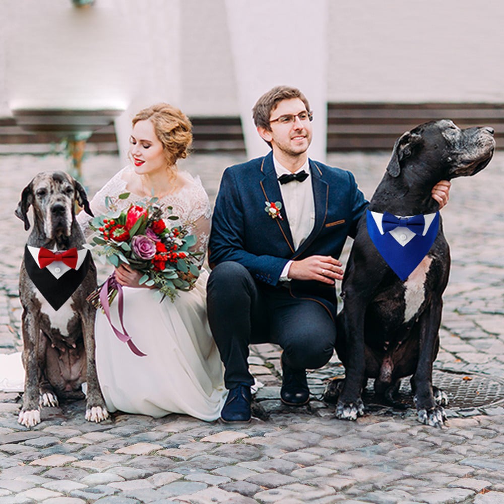 Dog Formal Wear Tie for Wedding Party