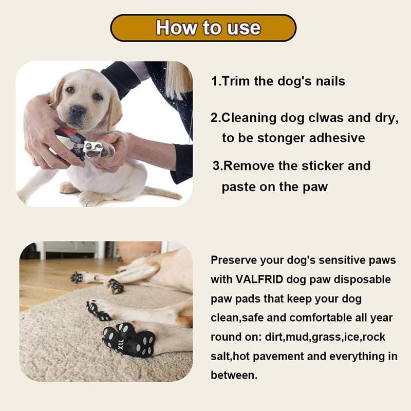Breathable Summer Casual Pet Footwear