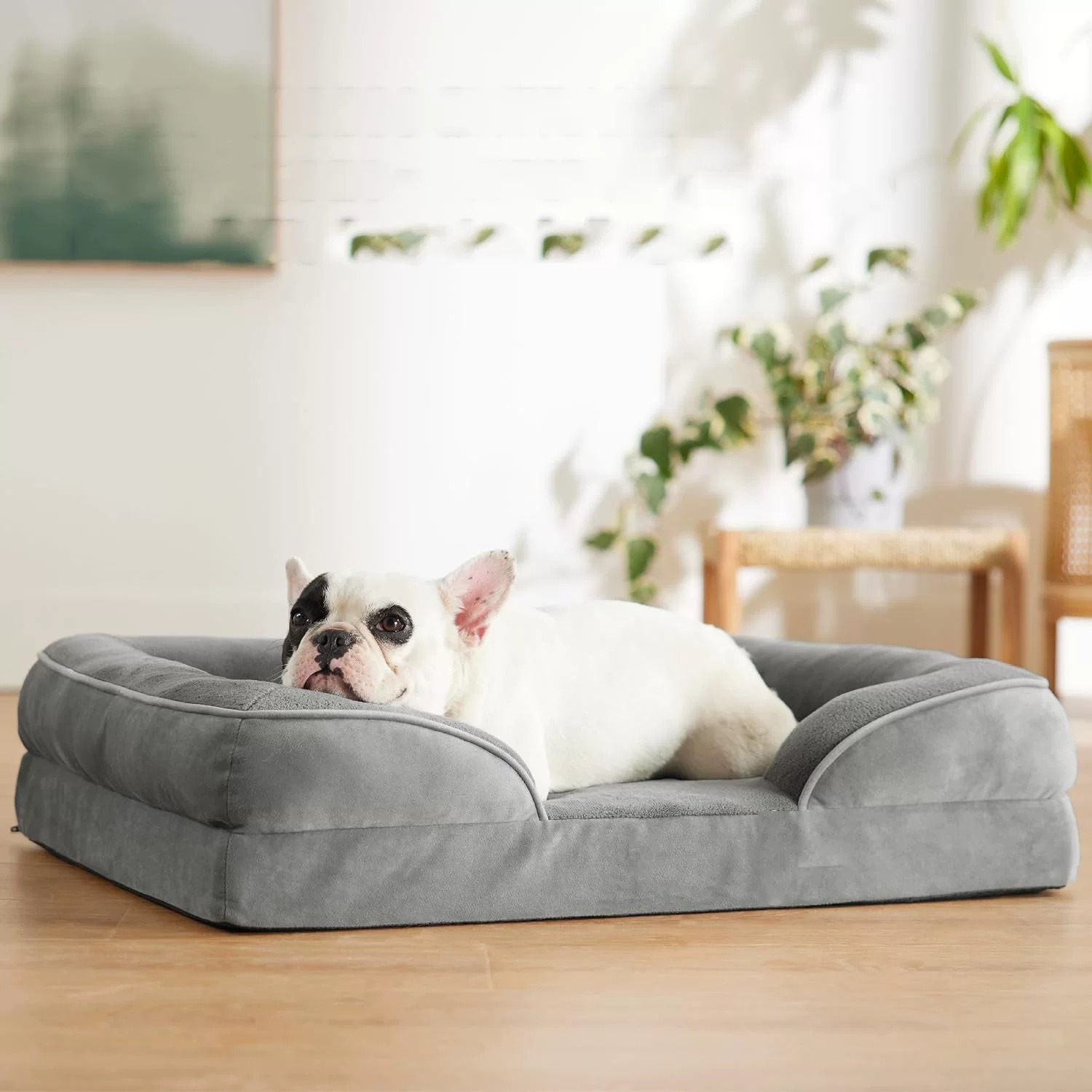 Orthopedic Memory Foam Dog Bed Square Design