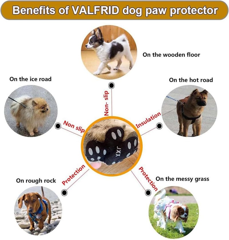 Breathable Summer Casual Pet Footwear