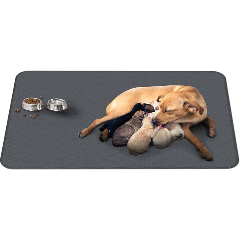 Machine Washable Pet Mat