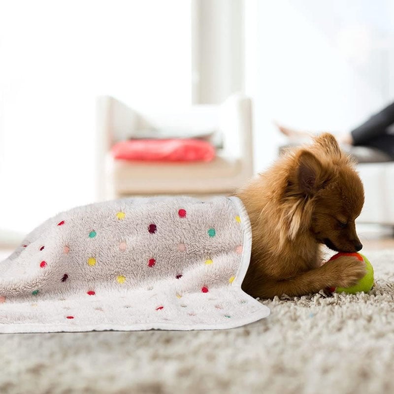Polka Dot Winter Warm Pet Blanket