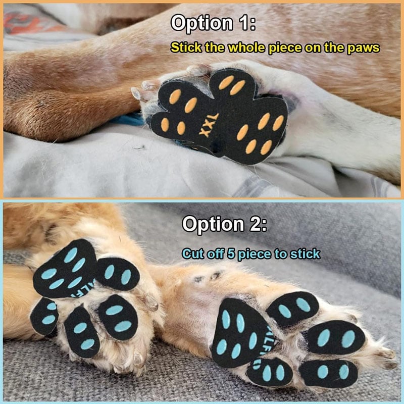 Breathable Summer Casual Pet Footwear