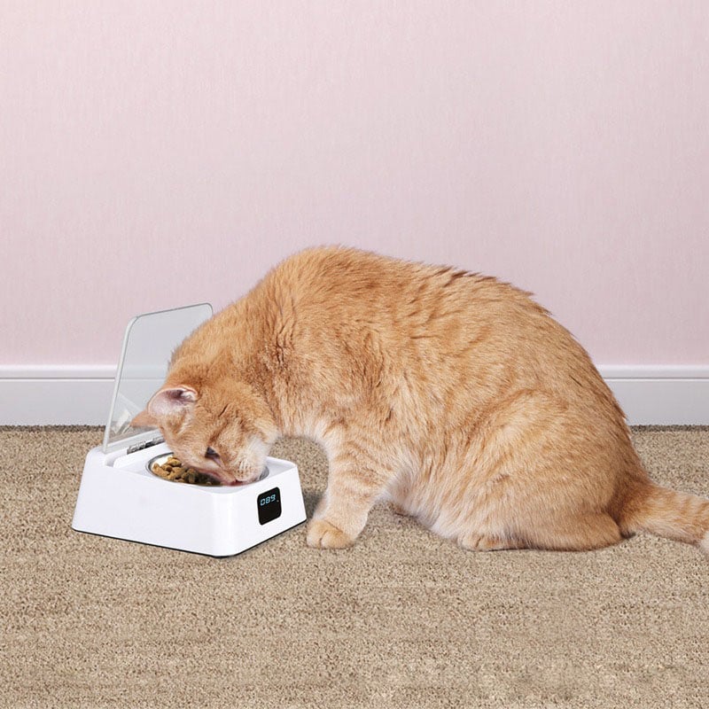 Programmable Automatic Pet Feeder