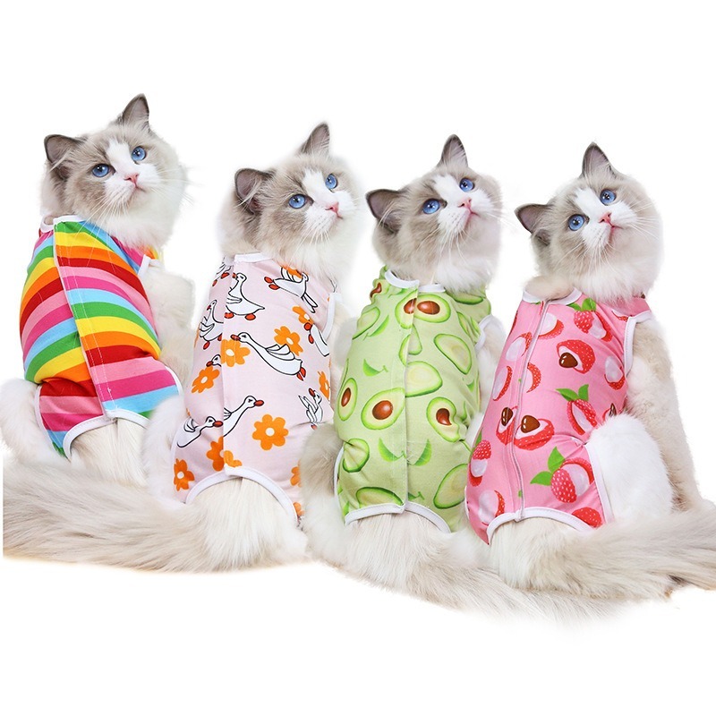 Fruit Pattern Sterilization Coat for Cats