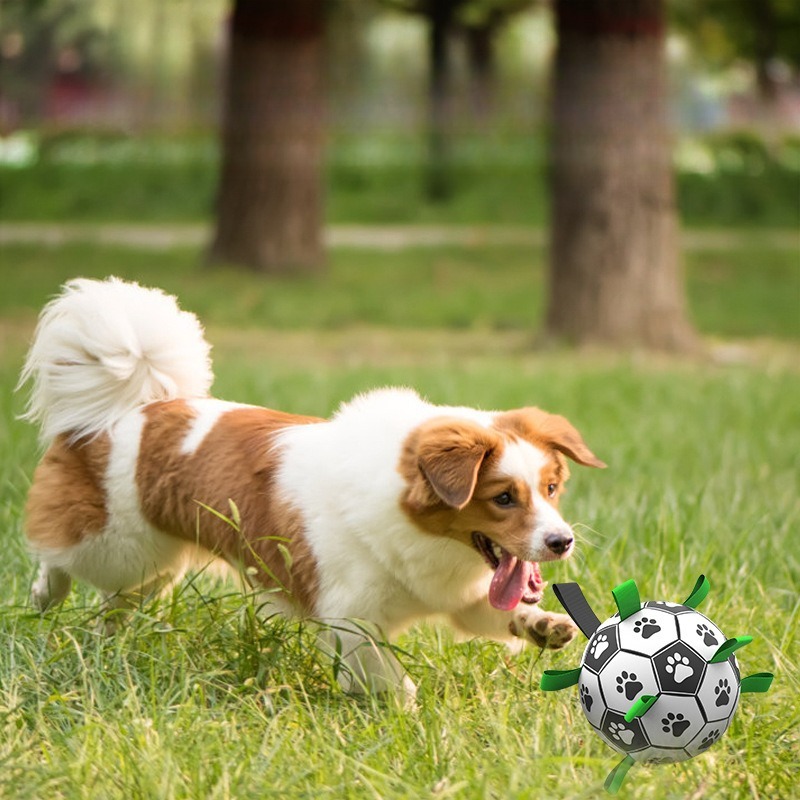 PU Material Soccer Ball for Outdoor Dog Training