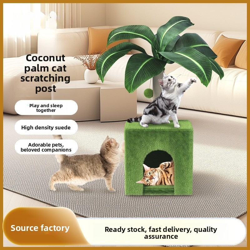 Space-Saving Coconut Tree Cat Climber