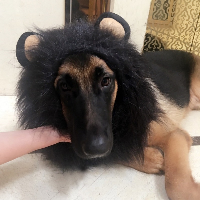 Lion Mane Cosplay Headgear for Halloween