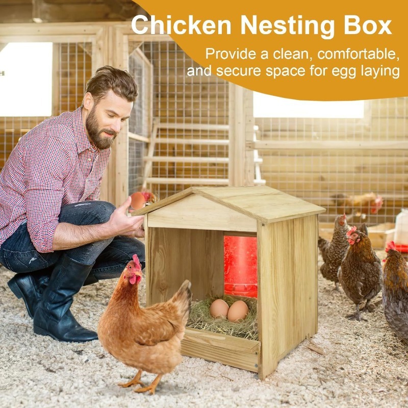 Outdoor Wooden Chicken Coop with Rain Shelter