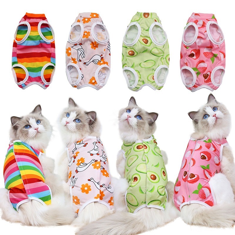 Fruit Pattern Sterilization Coat for Cats