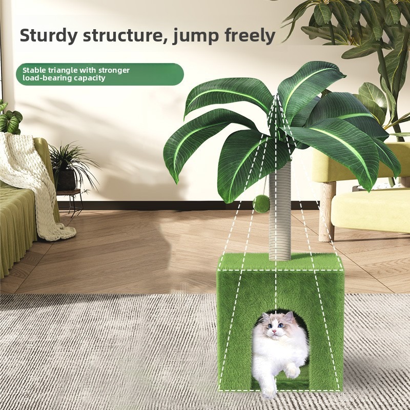 Space-Saving Coconut Tree Cat Climber