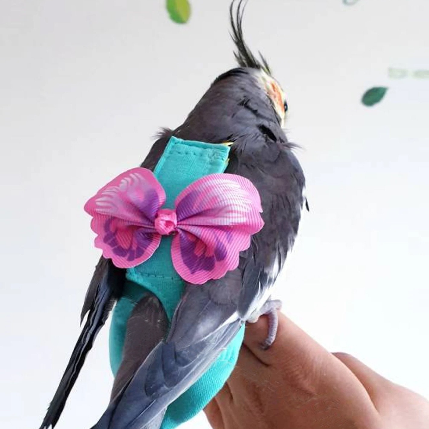 Parrot Vest with Butterfly Wing Design