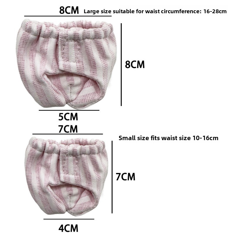Squirrel Absorbent Training Underwear