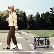 Large Capacity Oxford Cloth Portable Pet Carrier