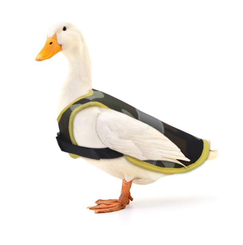 Reflective Poultry Vest for Chickens and Ducks