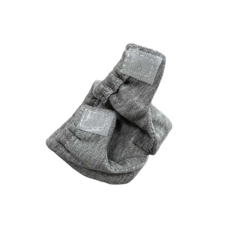 Squirrel Absorbent Training Underwear