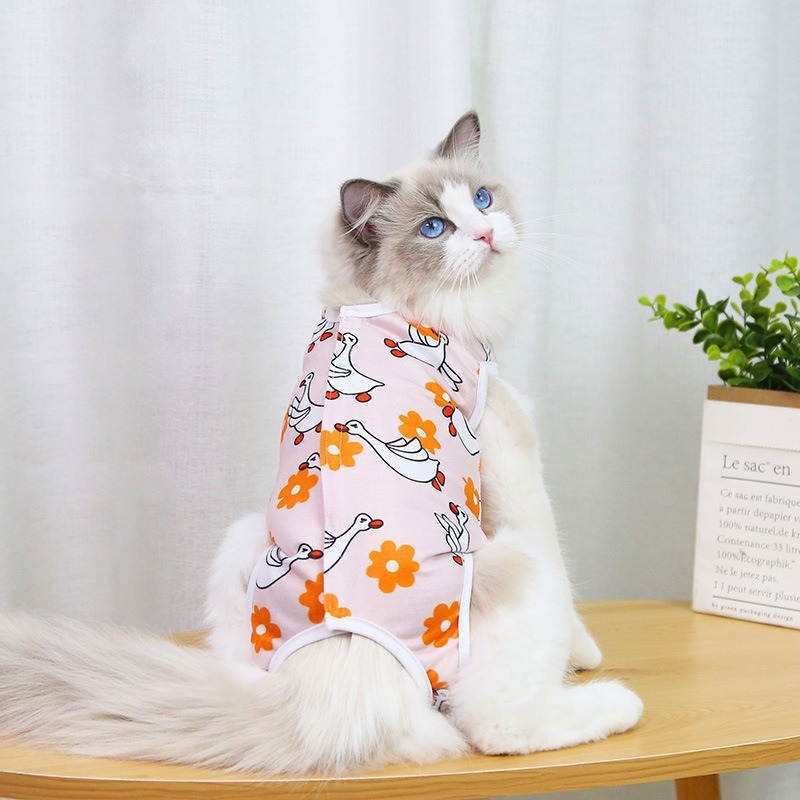 Fruit Pattern Sterilization Coat for Cats