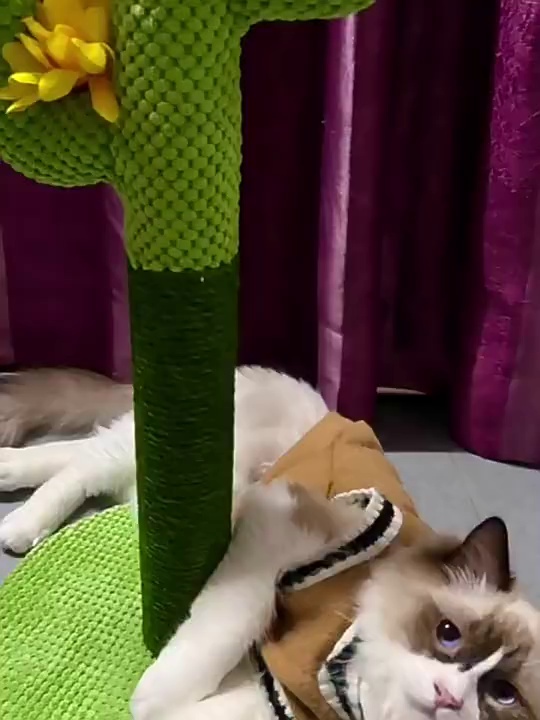 Cactus Themed Cat Tree