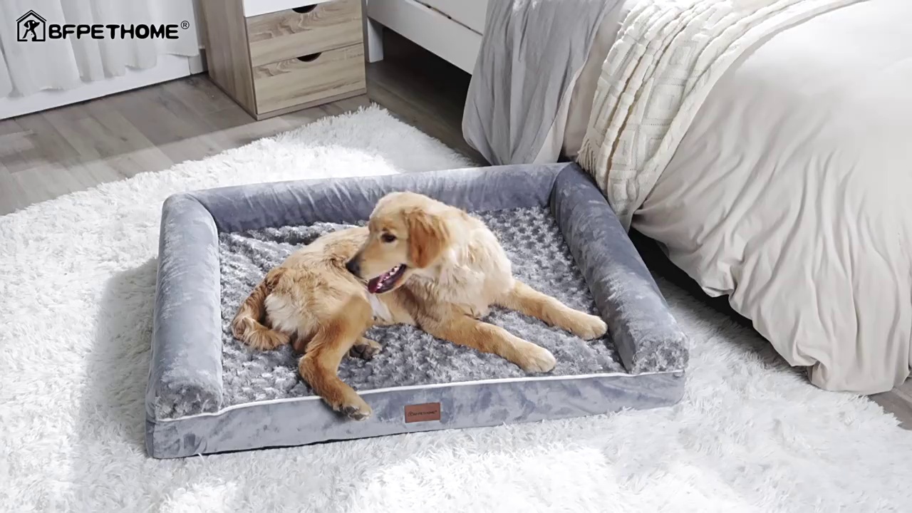 Winter Rescue Shelter for Stray Cats