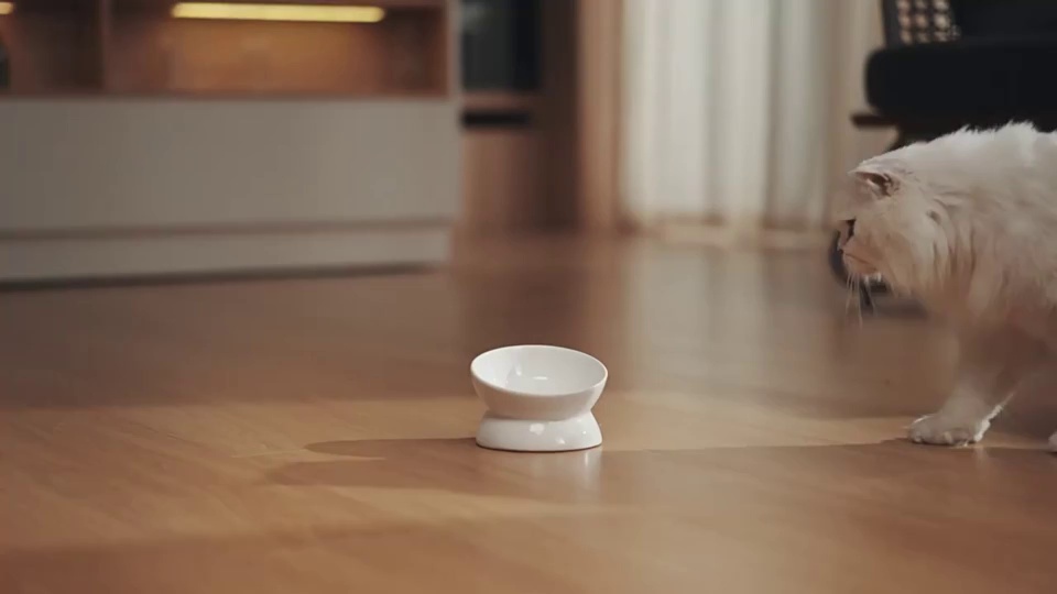 Compact 2L Automatic Pet Feeder