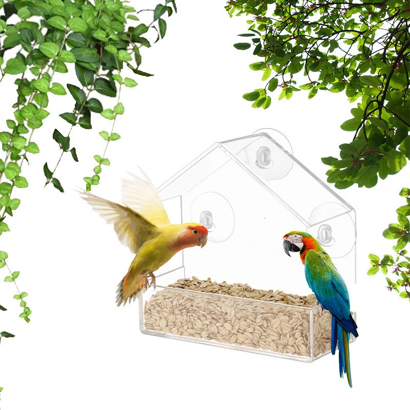 Acrylic Wall Mounted Bird Feeder without Drilling