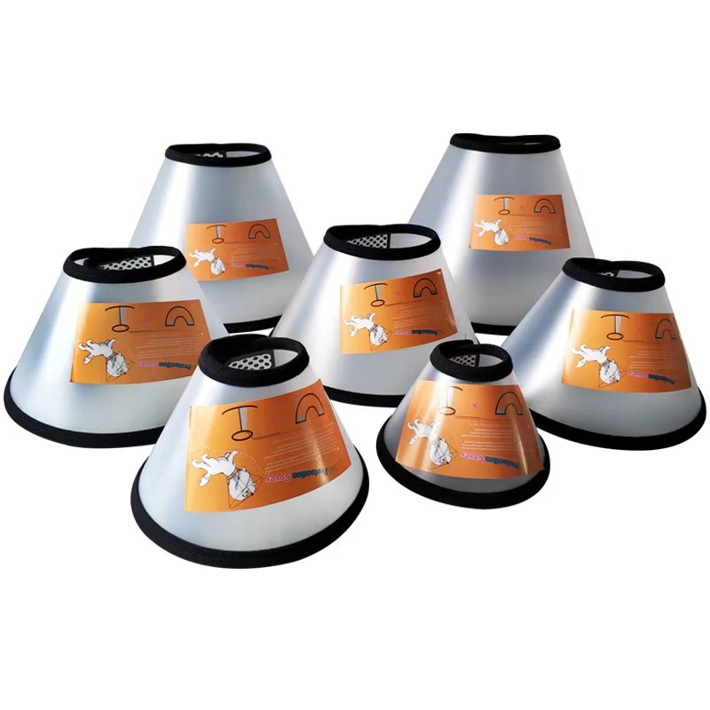 Portable Thermos Pet Travel Feeding Set