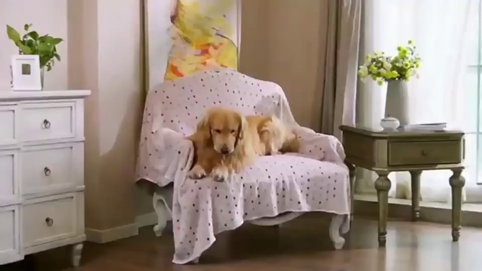 Thickened Coral Fleece Pet Blanket for Beds