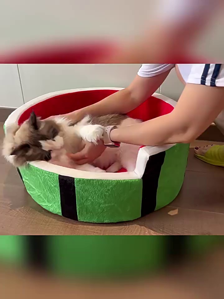 Pineapple Shaped Velvet Pet Bed for Small Animals