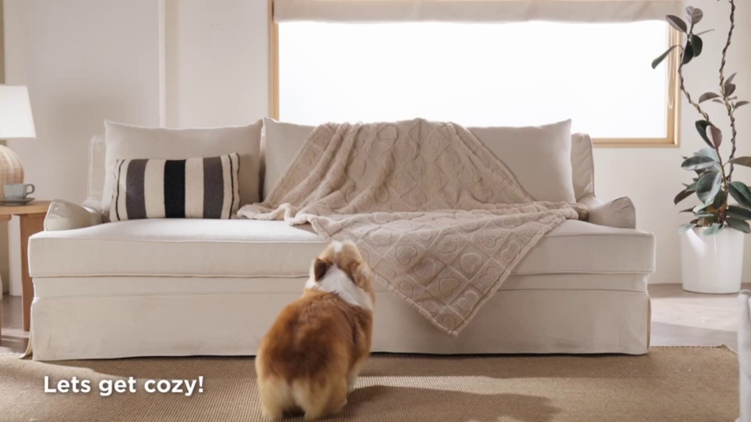 Reversible Washable Plush Pet Blanket