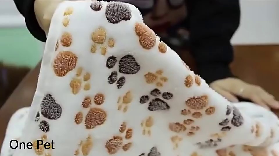 Coral Fleece Pet Blanket for Year-Round Warmth