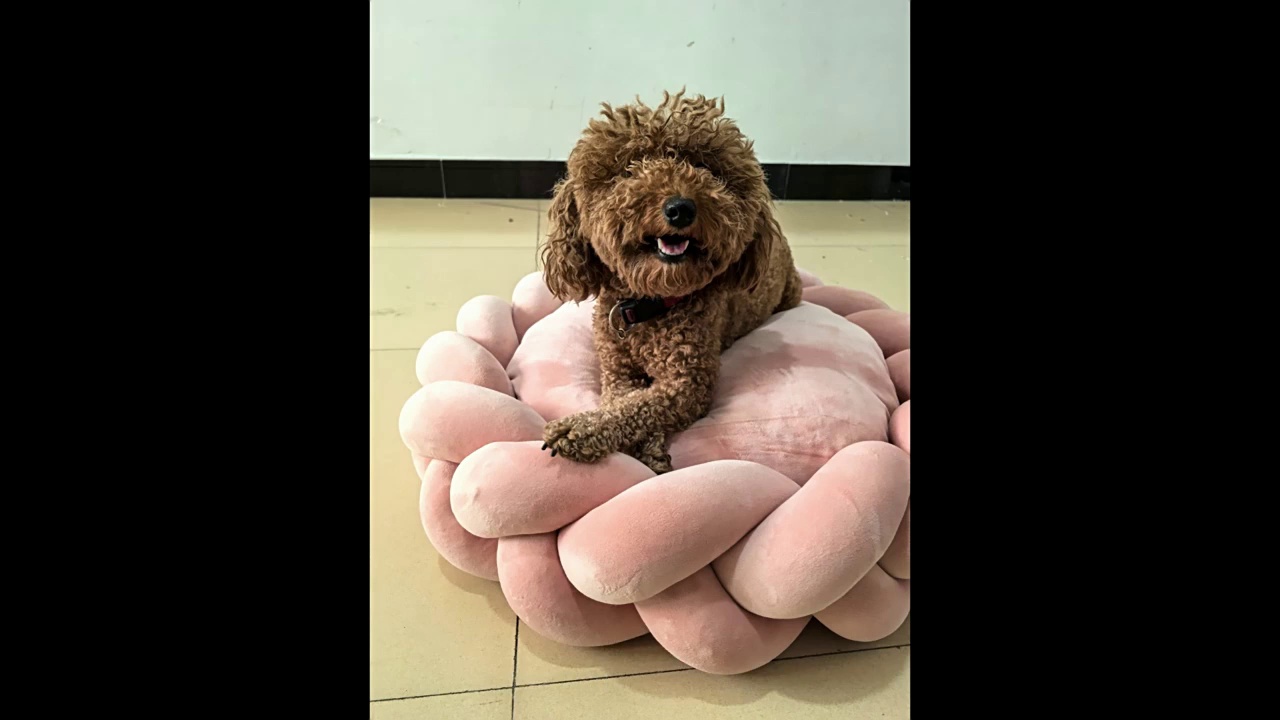 Luxury Suede Round Pet Bed Custom Colors