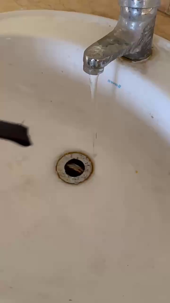 Transparent Thermal Wing Apron for Poultry