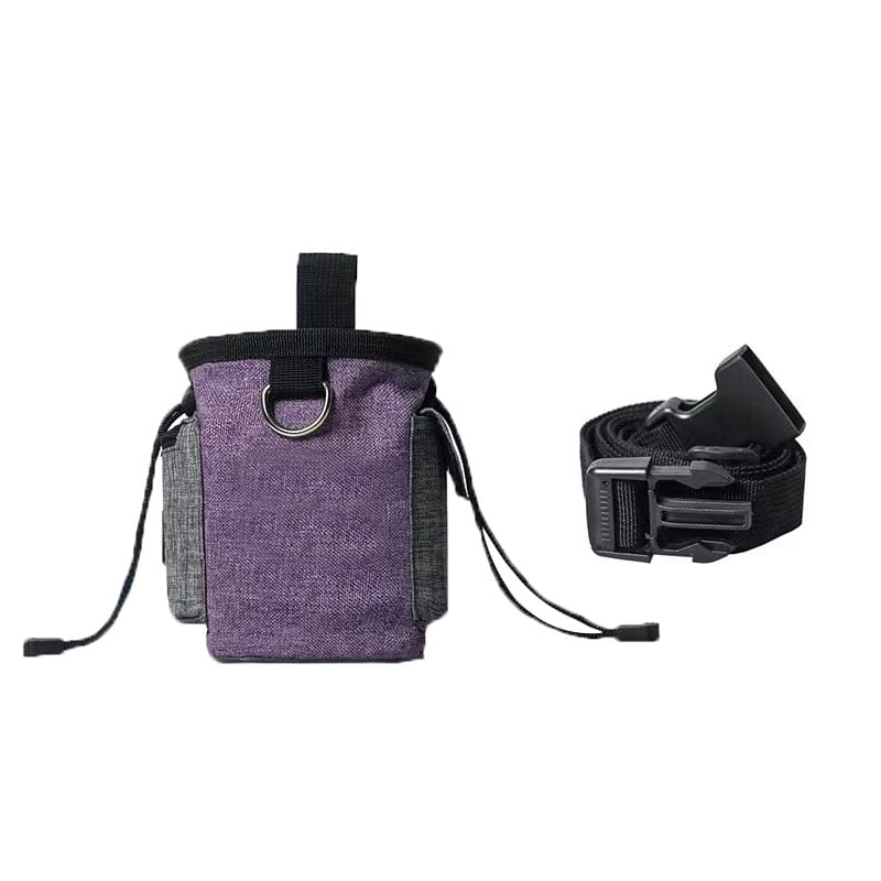 Portable Outdoor Dog Food and Snack Training Pouch