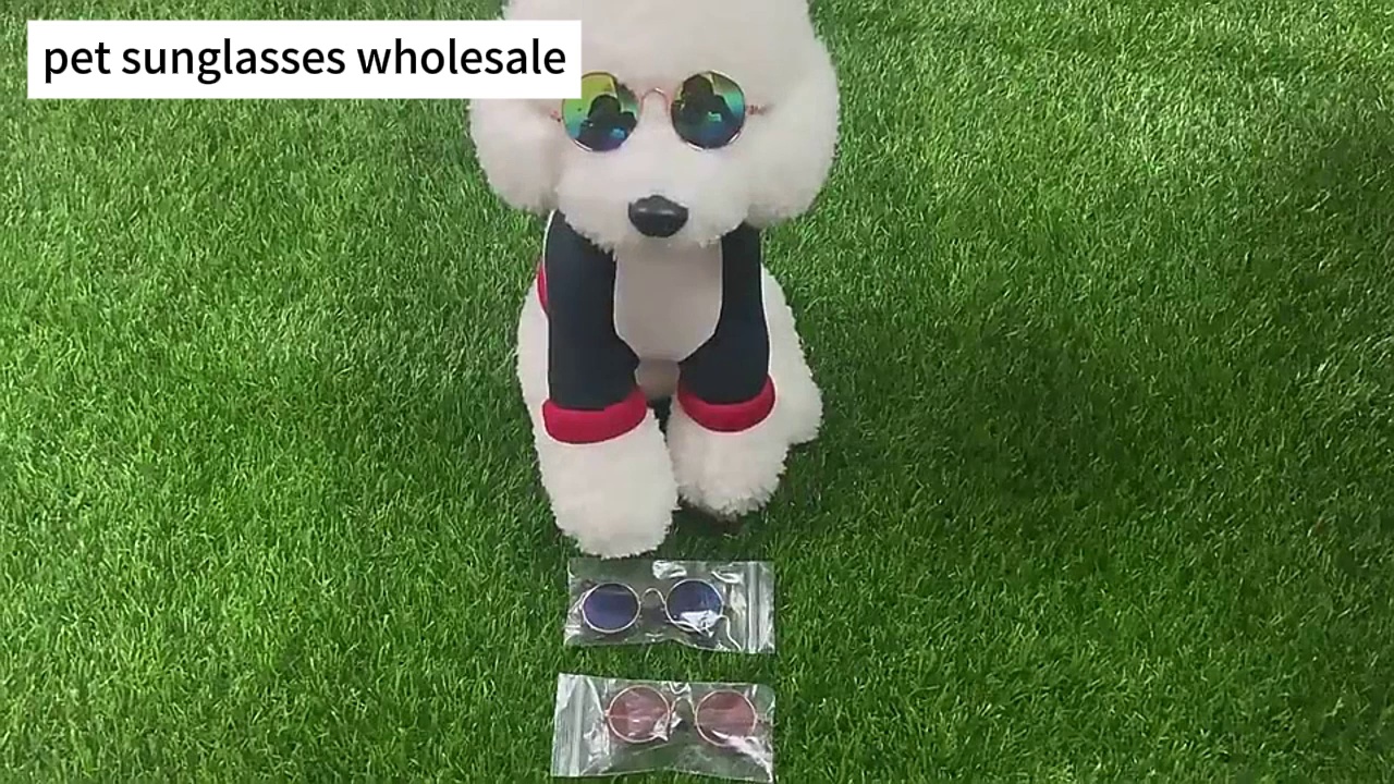 Pet Sunglasses Metal Frame Photo Props