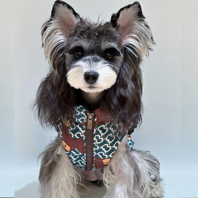 Letter Pattern Pet Down Jacket for Autumn Winter