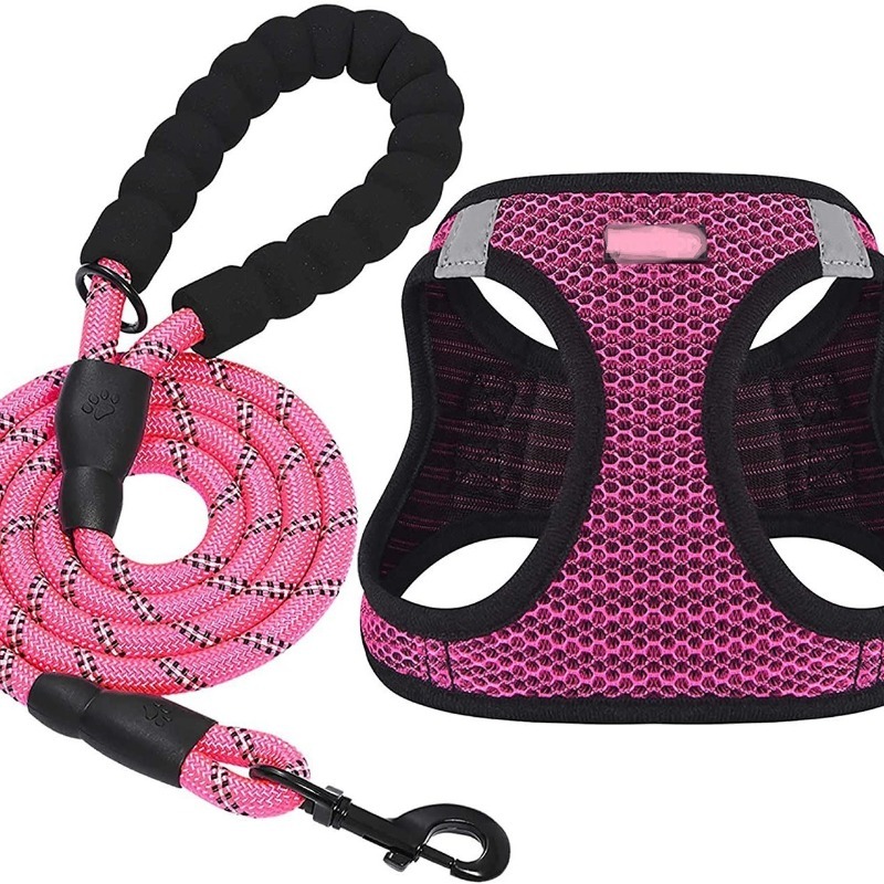 Dog Harness Leash Set Nylon Quick Release