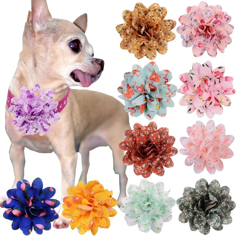 Personalized Flower Dog Collar Polyester Luxury