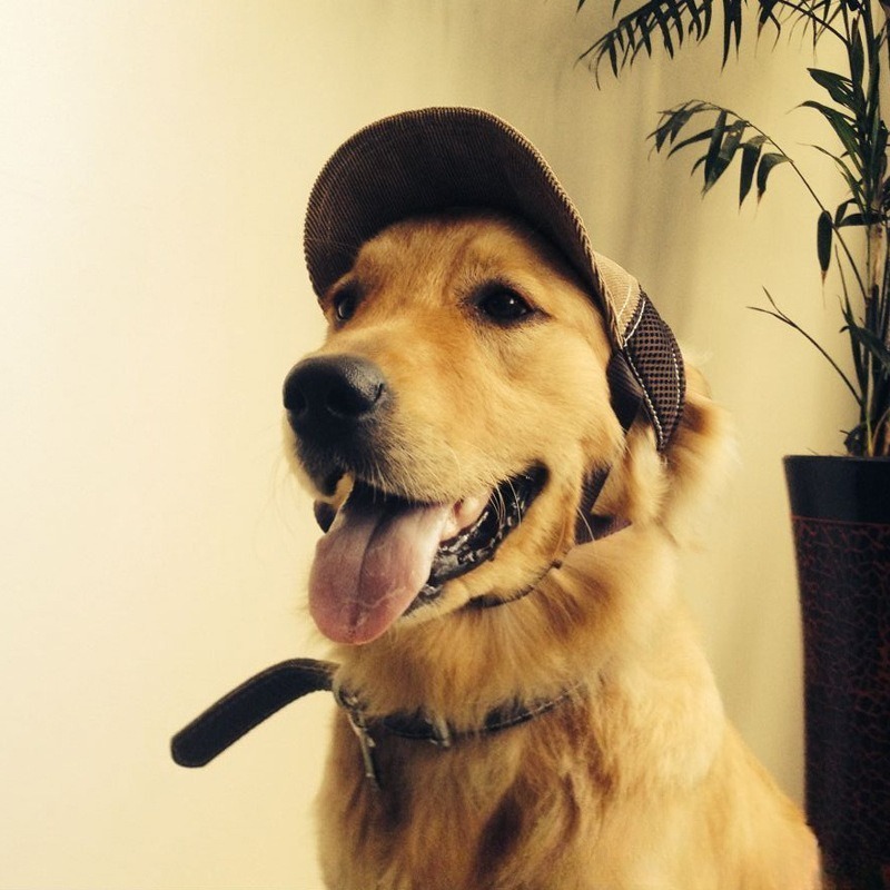 Dog Sun Hat Corduroy Breathable Cap