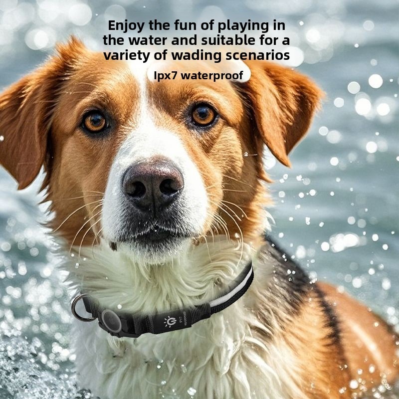 GPS Dog Collar with USB Charging and Waterproof