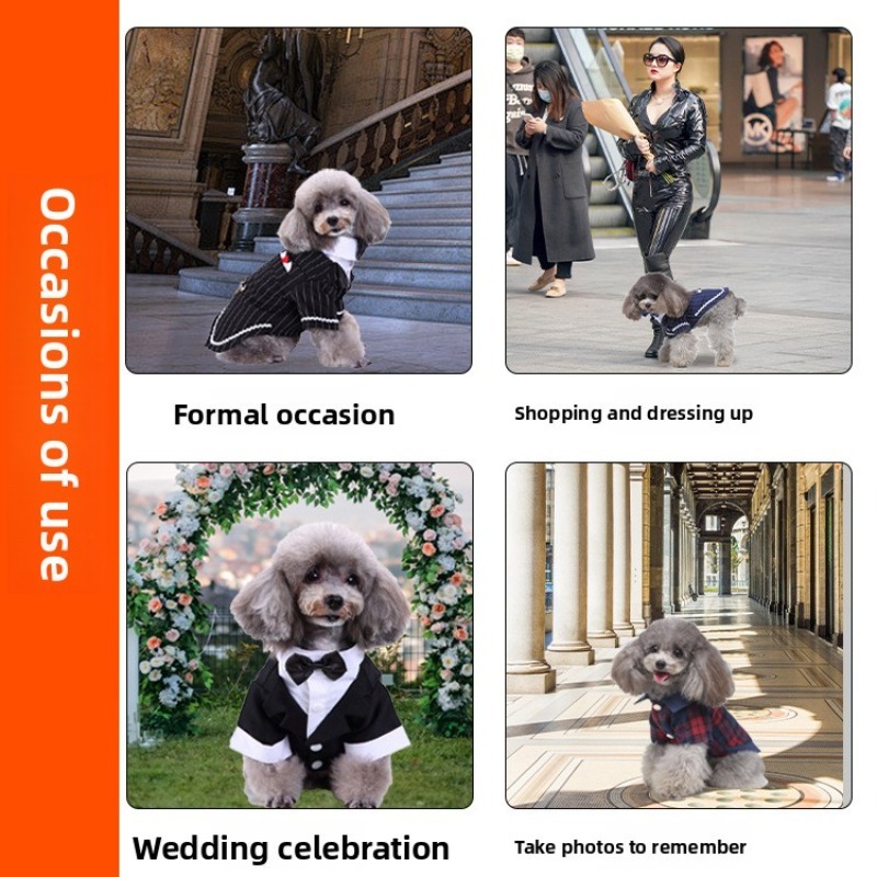 Warm Winter Pet Clothes for Cats and Dogs