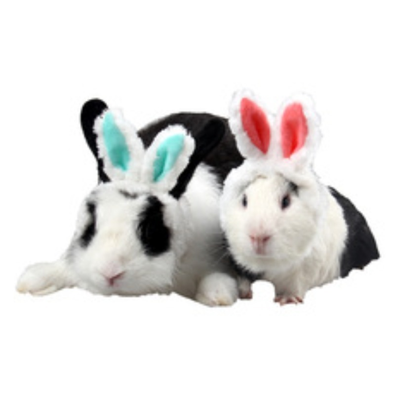 Cartoon Plush Rabbit Ear Pet Headband